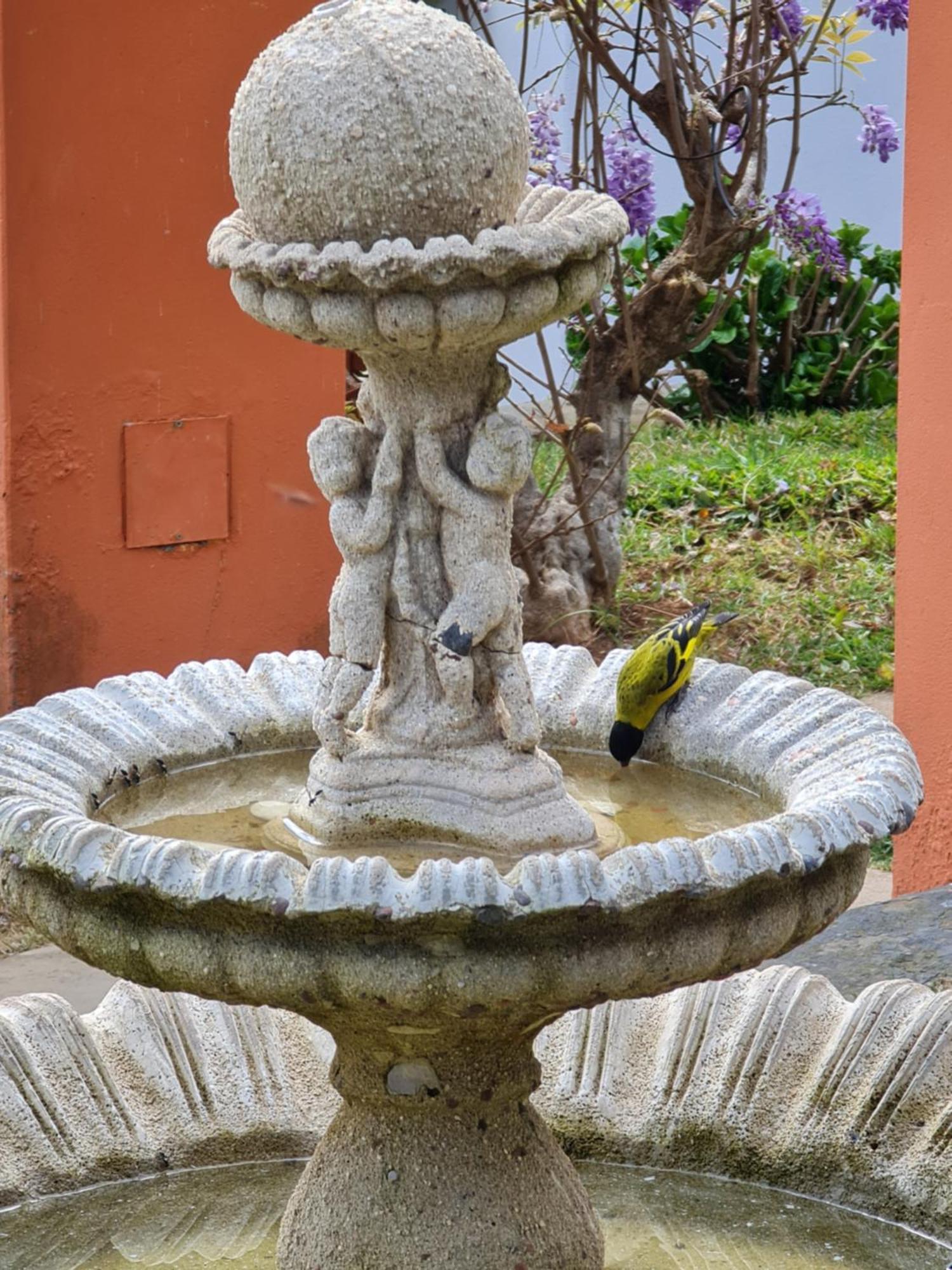 Chales Valle Florido 몬테베르데 외부 사진